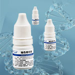 抽色精华液套装